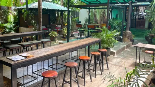 Botanico Craft Beer Garden, German, Bar, Gastropub