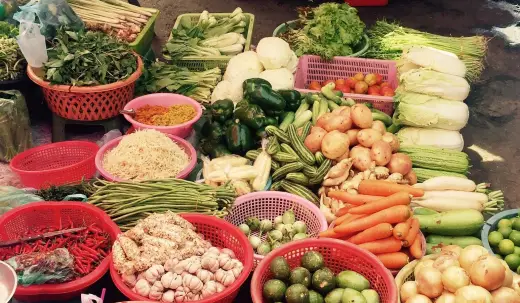 Coconut LyLy Restaurant, Asian, Healthy, Cambodian