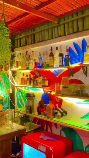 Concept Cafe&Bar, Cafe / Bar