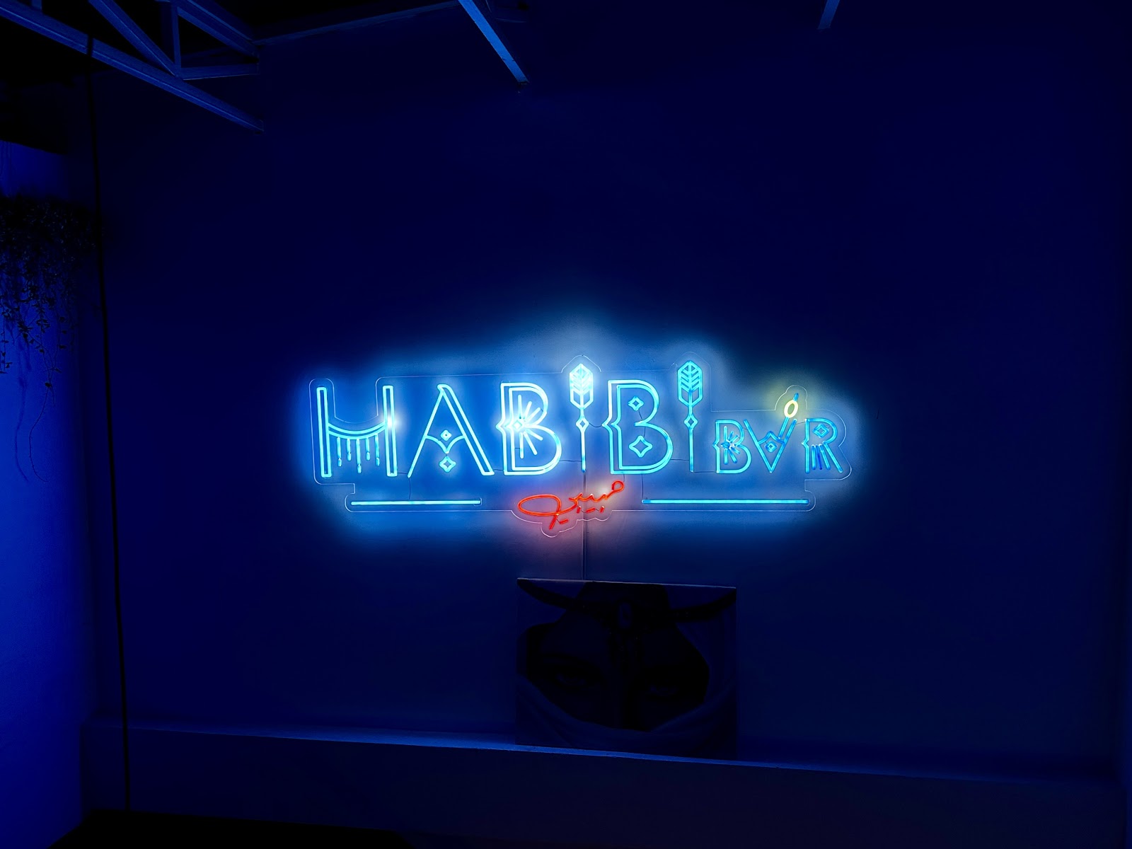 Habibi SkyBar @Hummus House photo 5