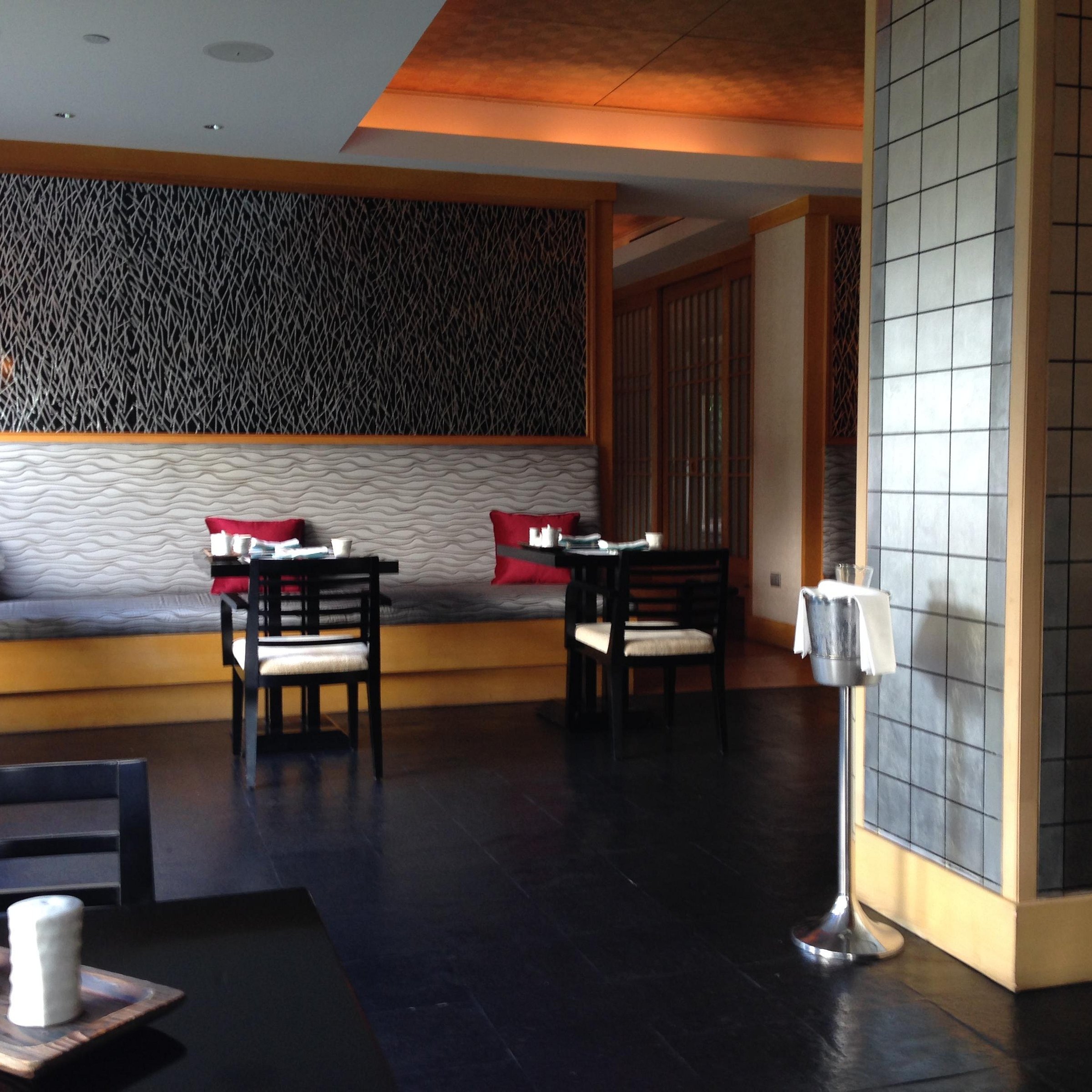 Hachi photo 4