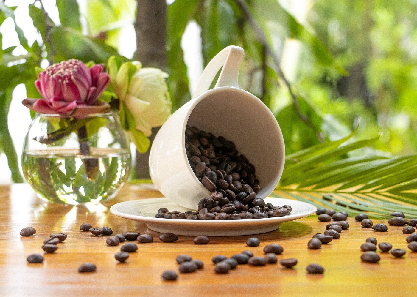 Le Café At White Mansion photo 4