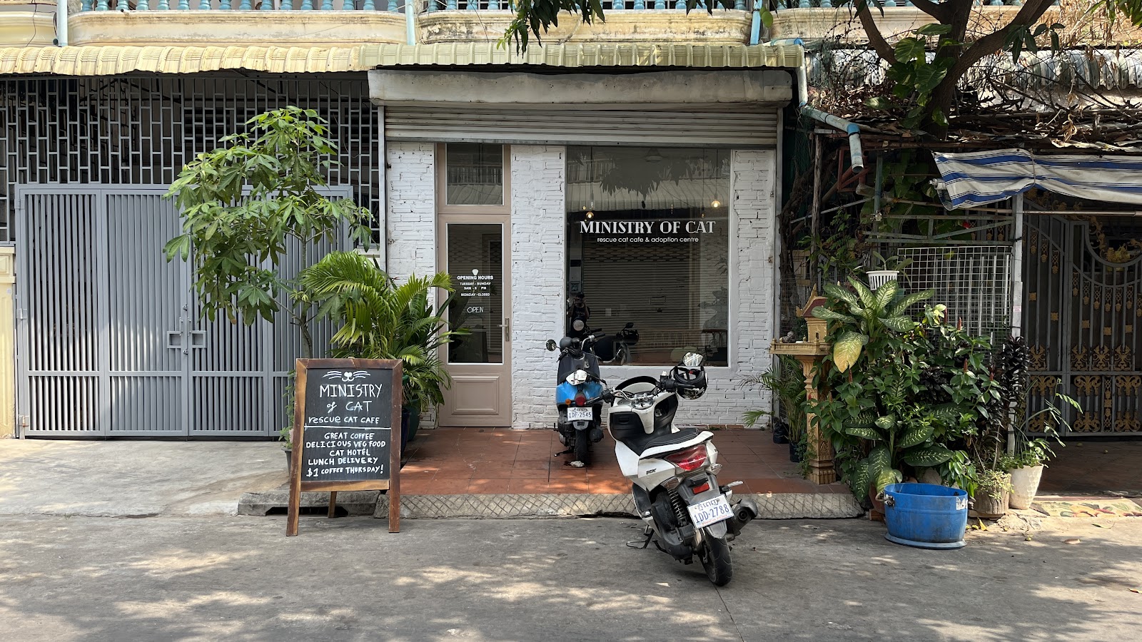 Ministry of Cat
