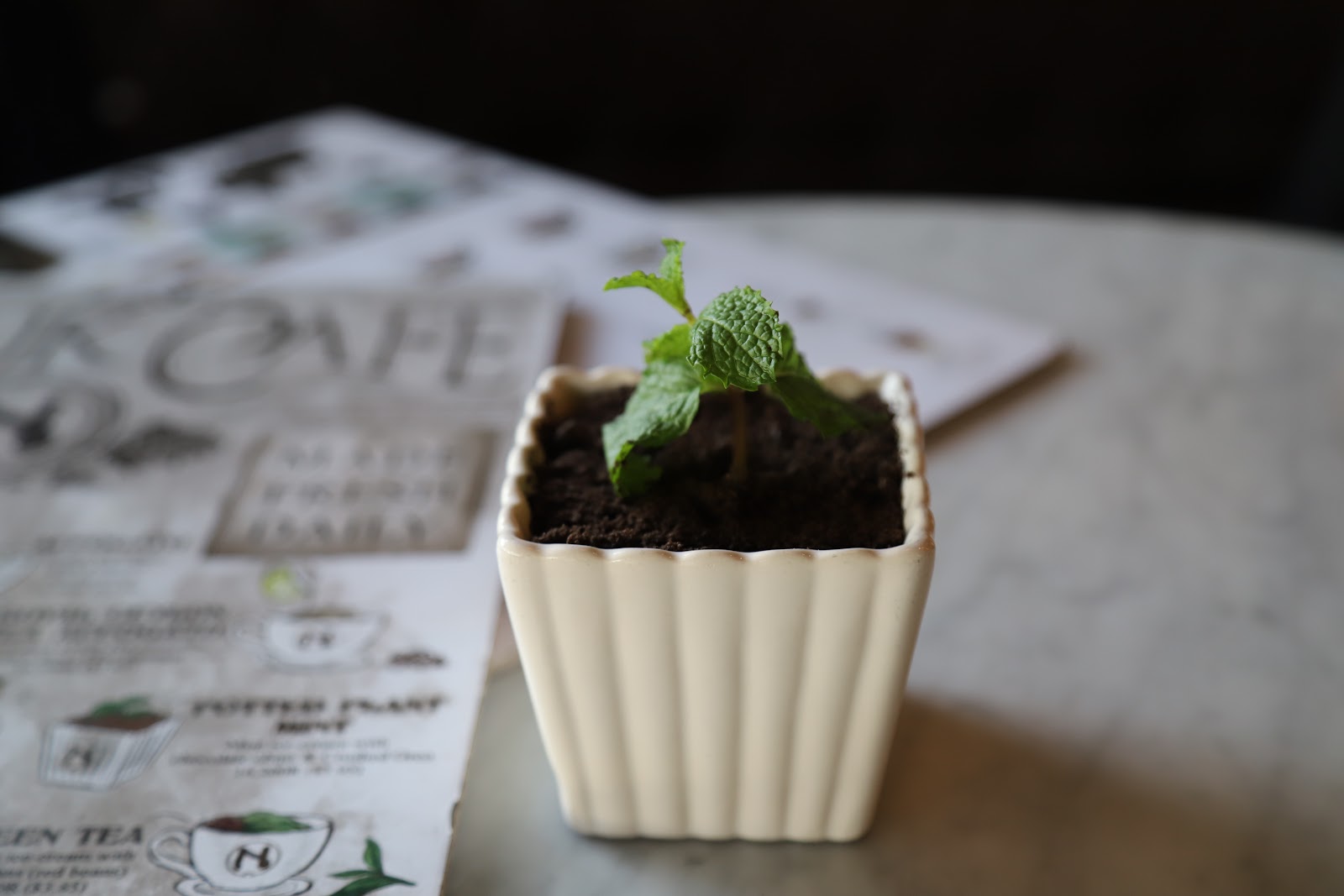 Nuk Cafe photo 5