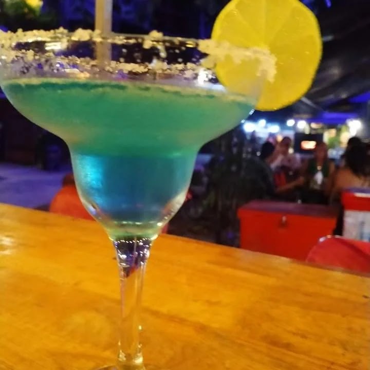 The Tree Bar photo 2