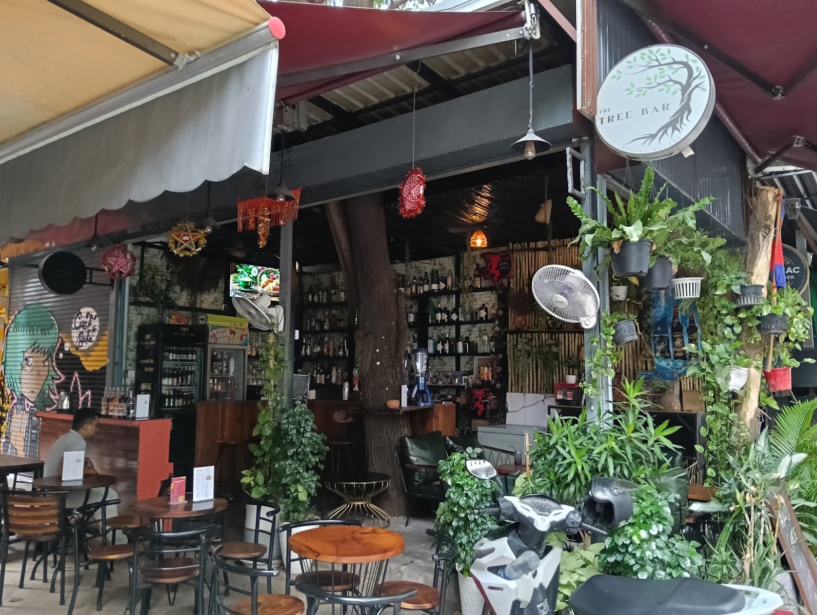 The Tree Bar