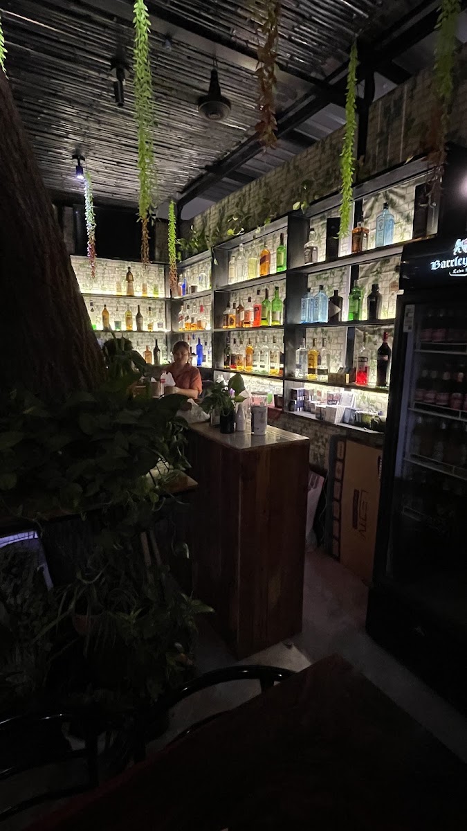 The Tree Bar photo 4