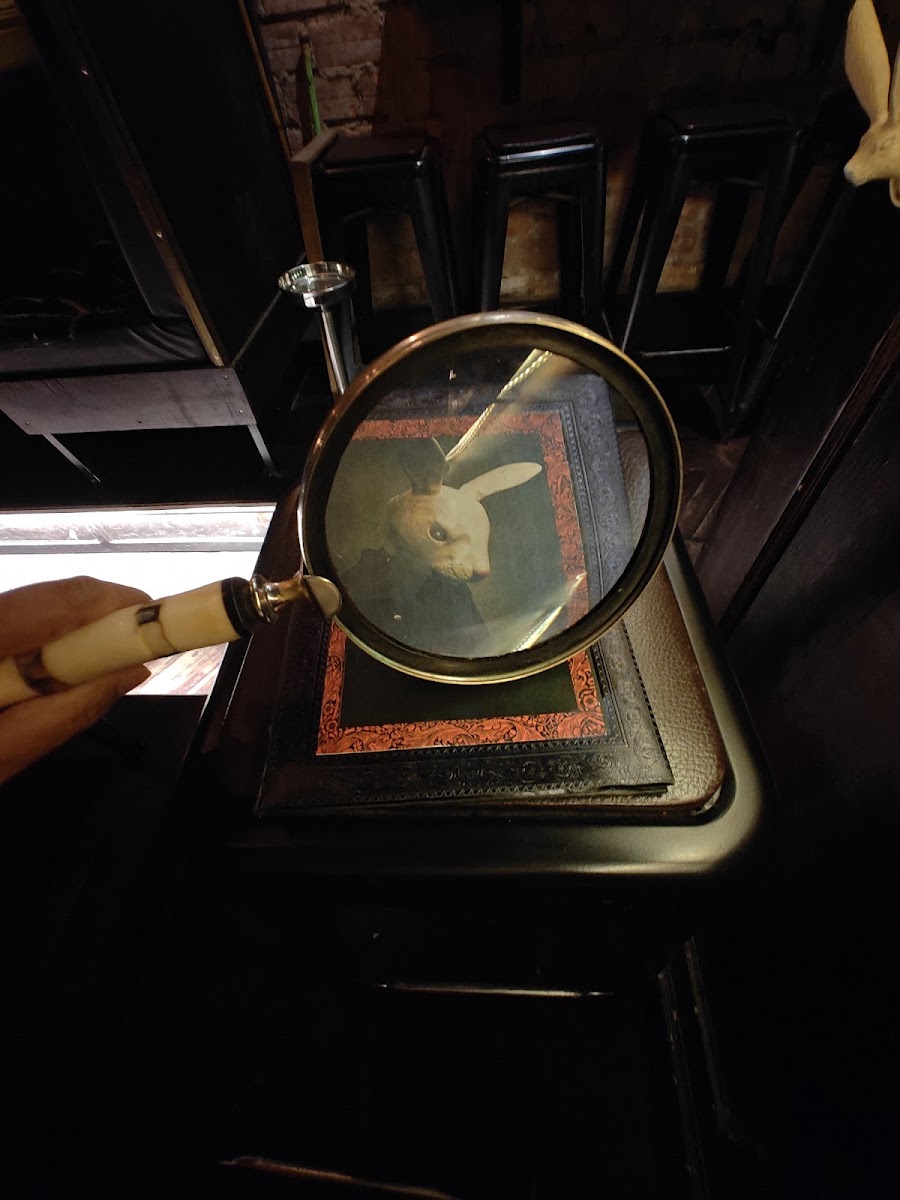 White Rabbit photo 5