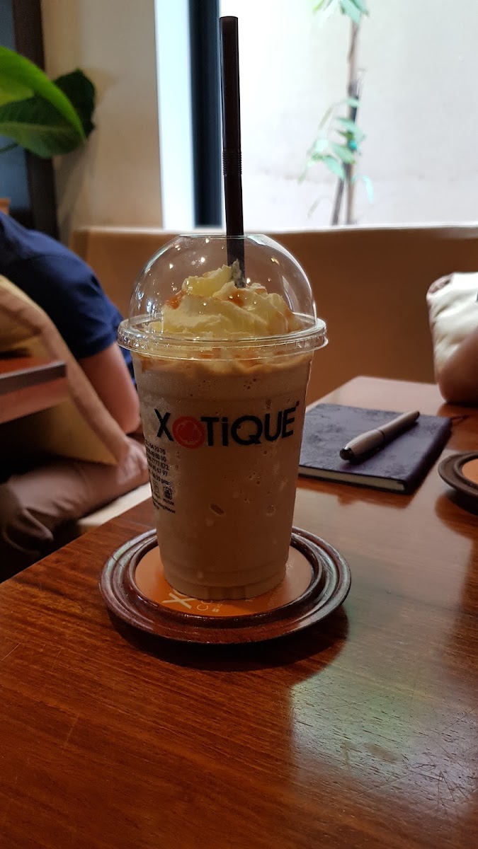Xotique photo 2